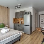 Студио (Студия в стиле LOFT), Апартаменты ApartsLounge
