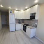 Трёхместный и более (Просторная 1 квартира), Апартаменты ApartsLounge
