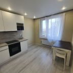 Трёхместный и более (Просторная 1 квартира), Апартаменты ApartsLounge