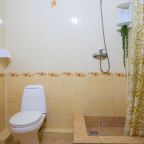 Санузел с душем в номере