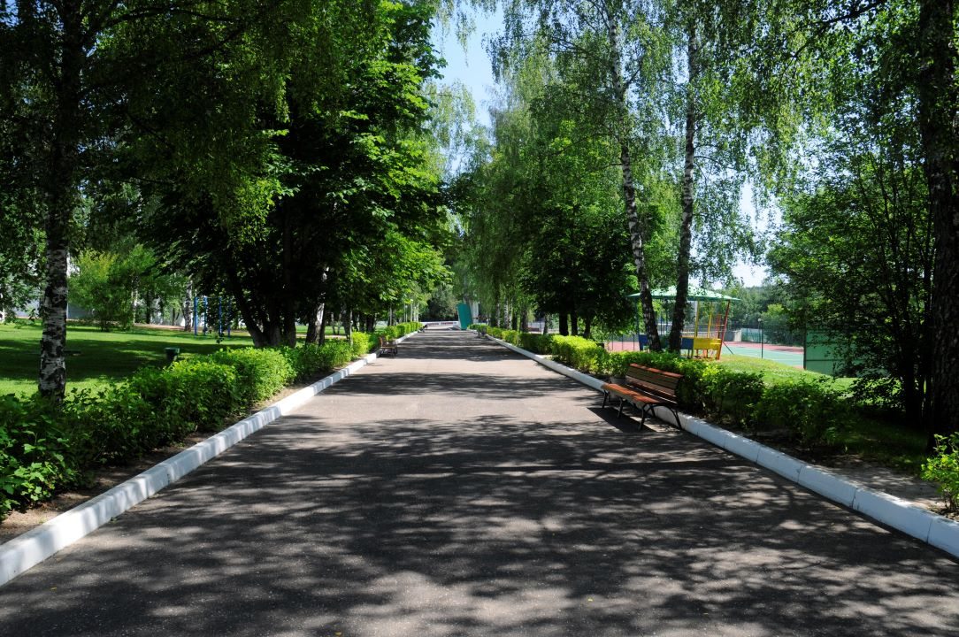 Центральная аллея