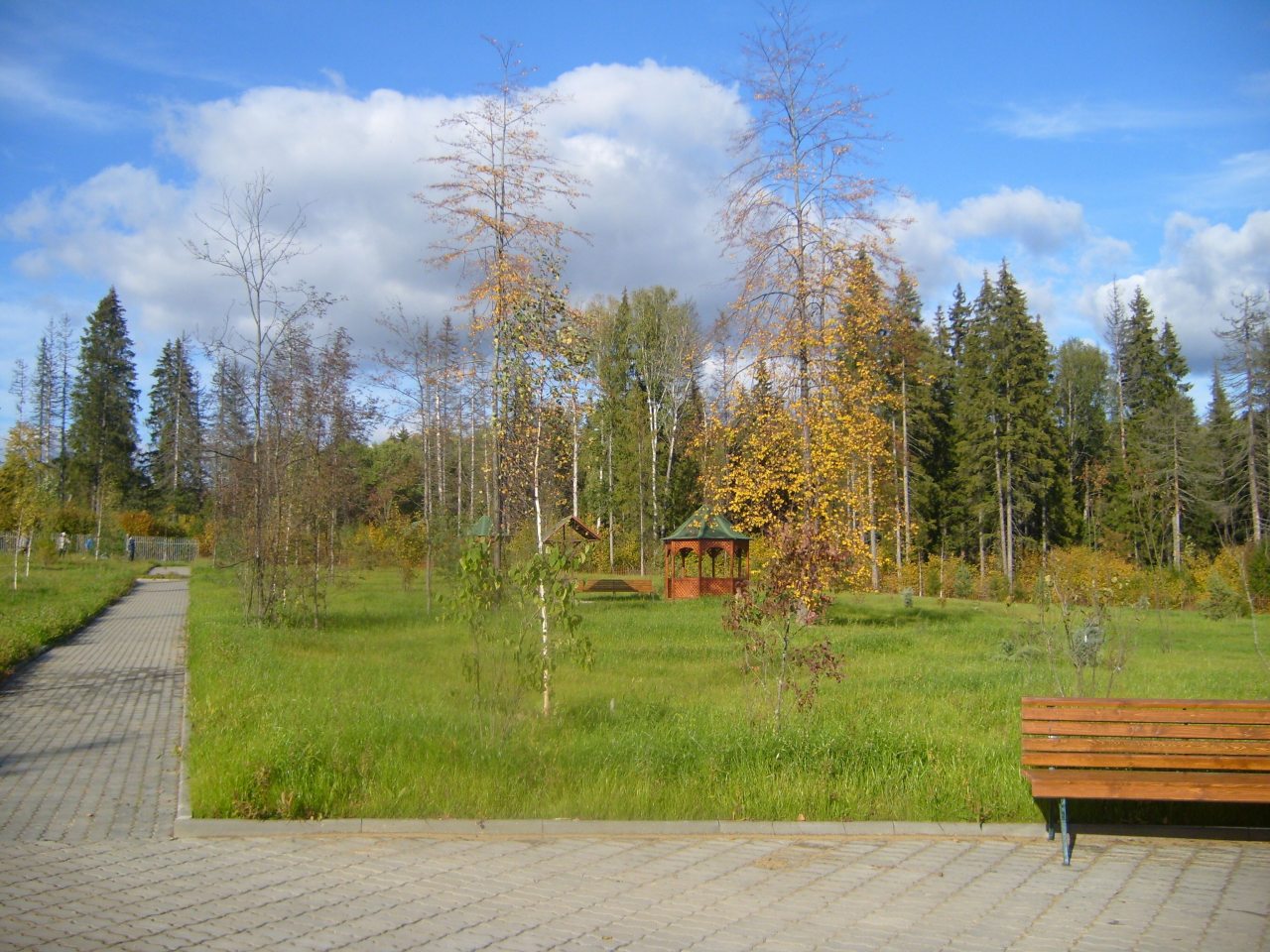 Беседки для отдыха расположены в лесу