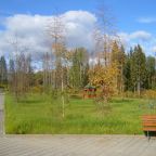 Беседки для отдыха расположены в лесу