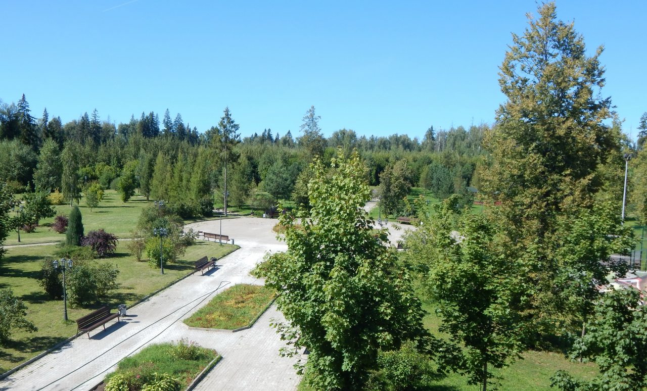 Прогулки, единение с природой