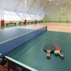 Настольный теннис