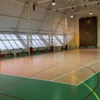 Волейбол, минифутбол