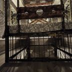 Апартаменты (Экcклюзивныe), Апартаменты Сенода