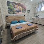 Студио (Уютная, светлая в центре), Апартаменты Сенода