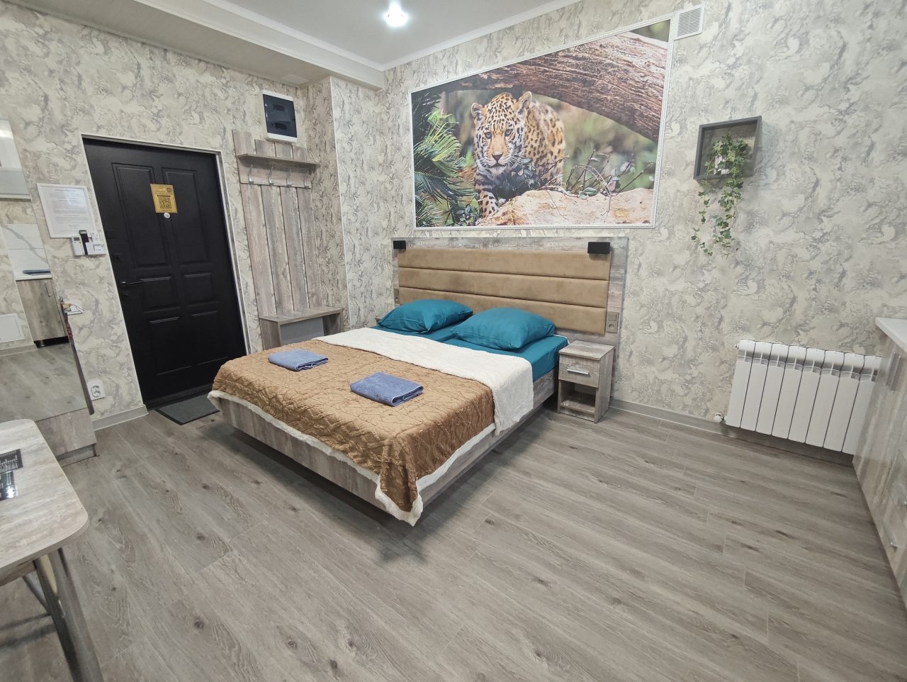 Студио (Уютная, светлая в центре), Апартаменты Сенода