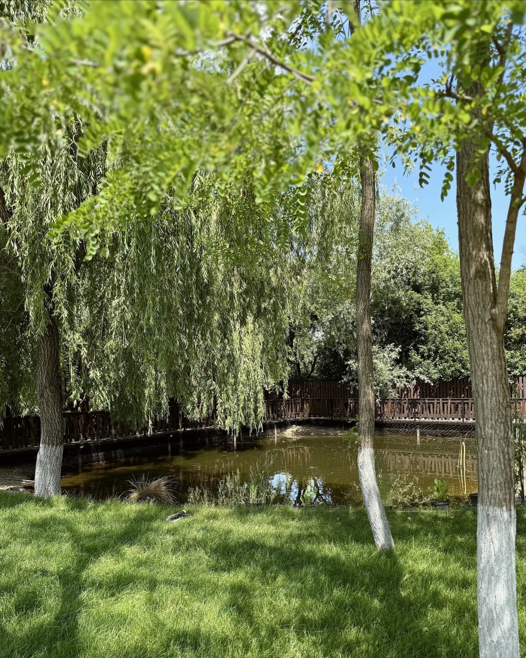 Коттедж (Коттедж 