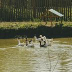 Зоопарк, База отдыха Вилла Царина