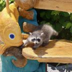 Зоопарк, База отдыха Вилла Царина