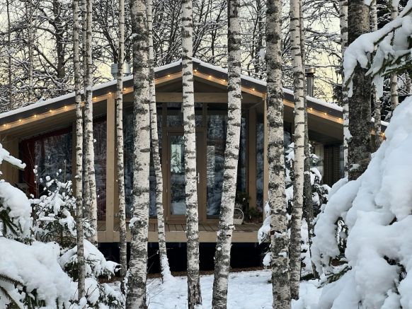 Гостевой дом Chalet Forest, Ивановское, Московская область