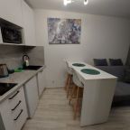 Апартаменты (LuxApart 1001), Апартаменты LuxApart м Бухарестская