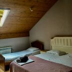 Трёхместный и более (Трехместный номер комфорт), Гостиница Life