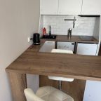 Двухместный (Inndays Apartments у метро "Парнас"), Inndays Apartments у метро Парнас