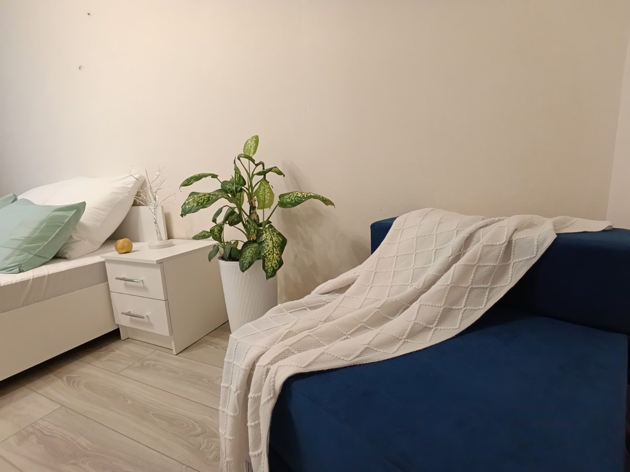 В квартире есть живые цветы.