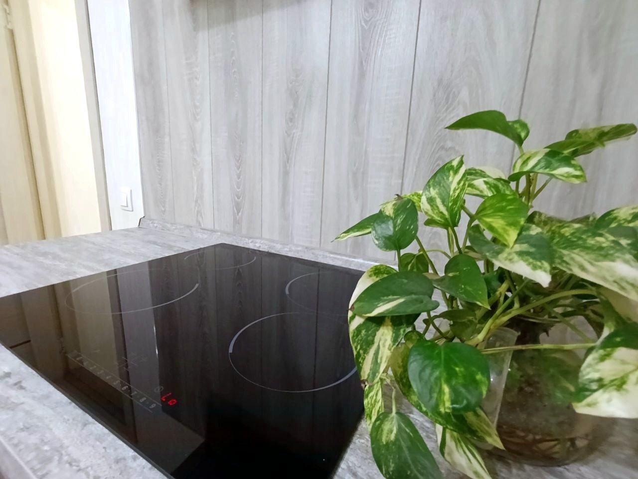 Варочная панель.