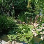 Трёхместный и более (Стандарт четырехместный Инжирный), Парк-Отель Казантип-Центр на Азовском море
