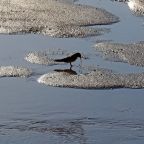 Пляж, Парк-Отель Казантип-Центр на Азовском море