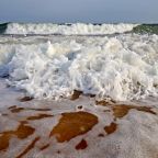 Пляж, Парк-Отель Казантип-Центр на Азовском море