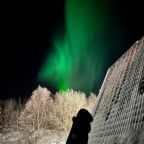 Северное сияние можно смотреть прям со двора