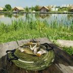 Рыбалка в озере Копыто, Глэмпинг Остров