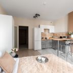 Апартаменты (Orient), Апартаменты Smart Lofts Moscow