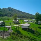 Шале (Шале с двуспальной кроватью 1-я линия), Отель Маральник Алтай Пэлас