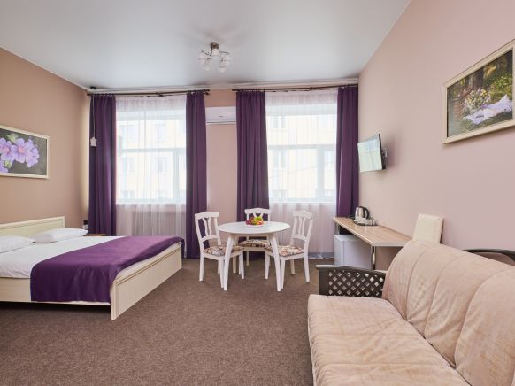 Фотография номера гостиницы Мневники