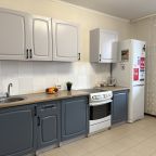 Мини-кухня, Апартаменты Сакура рядом ТЦ Кристалл