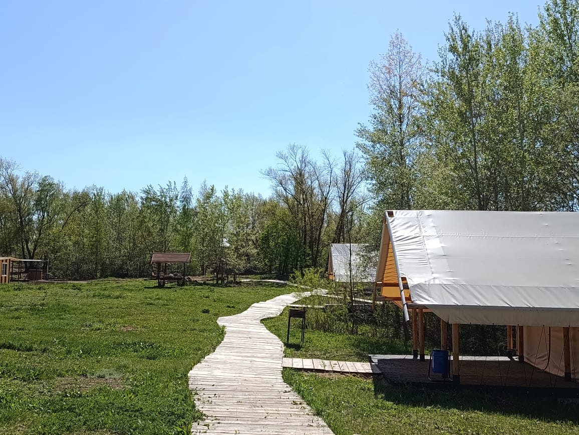База отдыха ЗеЛень & TheЛень, Михайловка, Саратовская область