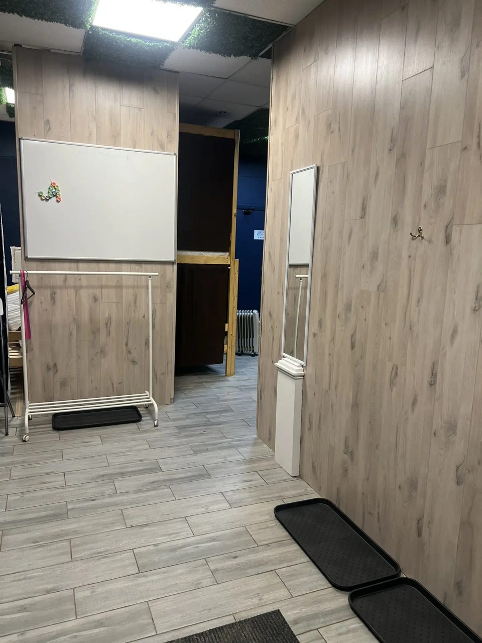Двенадцатиместный (Хостельный номер на 12 человек), Мини-отель Мансарда