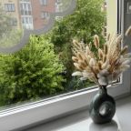 Вид из окна гостиной