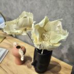 Студио (Современная квартира в новом деловом центре Новосибирска), Апартаменты Атмосфера сна на Московской 75