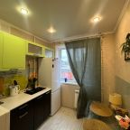 Двухместный (Уютная квартира в центре), Апартаменты Уютная квартира в центре