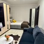 Двухместный (Уютная квартира в центре), Апартаменты Уютная квартира в центре