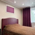 Апартаменты (Ул. Механическая 33, кв. 50), Апартаменты Хом-Сити