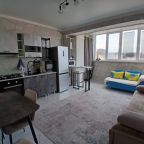 Квартира (Апартаменты однокомнатные Новосёлов 5к2), Апартаменты Trevelane