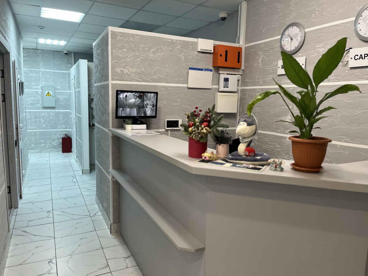 Пятиместный (Пятиместный семейный номер), Хостел Comeback Саратов