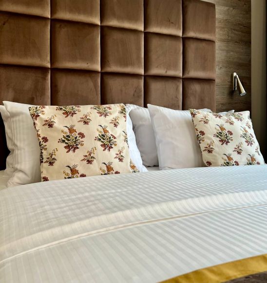 Фотография номера гостиницы Hotel DeParis