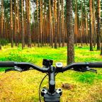 релакс и отдых вблизи апартаментов 500 м.