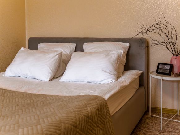 Апартаменты SAS 1-к с Видом на Вулканы Камчатки