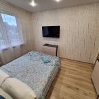 Дом (Для отдыха, со своим двором, беседкой, мангальной зоной.), Апартаменты Премиум Люкс на ул. Островского