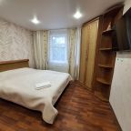 Дом (Для отдыха, со своим двором, беседкой, мангальной зоной.), Апартаменты Премиум Люкс на ул. Островского