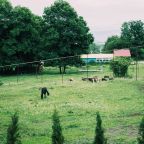 Объект находится в горах, Гостиница Горная Высота 985