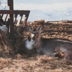 Объект находится в горах, Гостиница Горная Высота 985