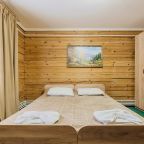 Двухместный (Стандарт двухместный (Дом Кедр)), Гостевой дом Grand Altai Manzherok