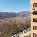 Панорамный вид из окна на горы., Апартаменты Вишня