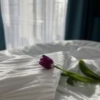 Апартаменты (Апартаменты  2-х комнатные 31 СПАЛЬНЯ ПЛЮС ГОСТИНАЯ С КУХНЕЙ), Гостевой дом Кипарис